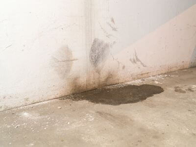 Professional water damage restoration services in Wittmann, AZ - Edge Water Restoration